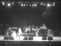 Hitmakers tour 2006 - Toyah - Photo by Mat Mckenzie