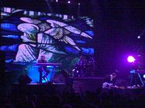 OMD: Photo by Mat Mckenzie