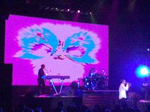 OMD: Photo by Mat Mckenzie
