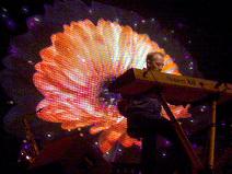 OMD: Photo by Mat Mckenzie